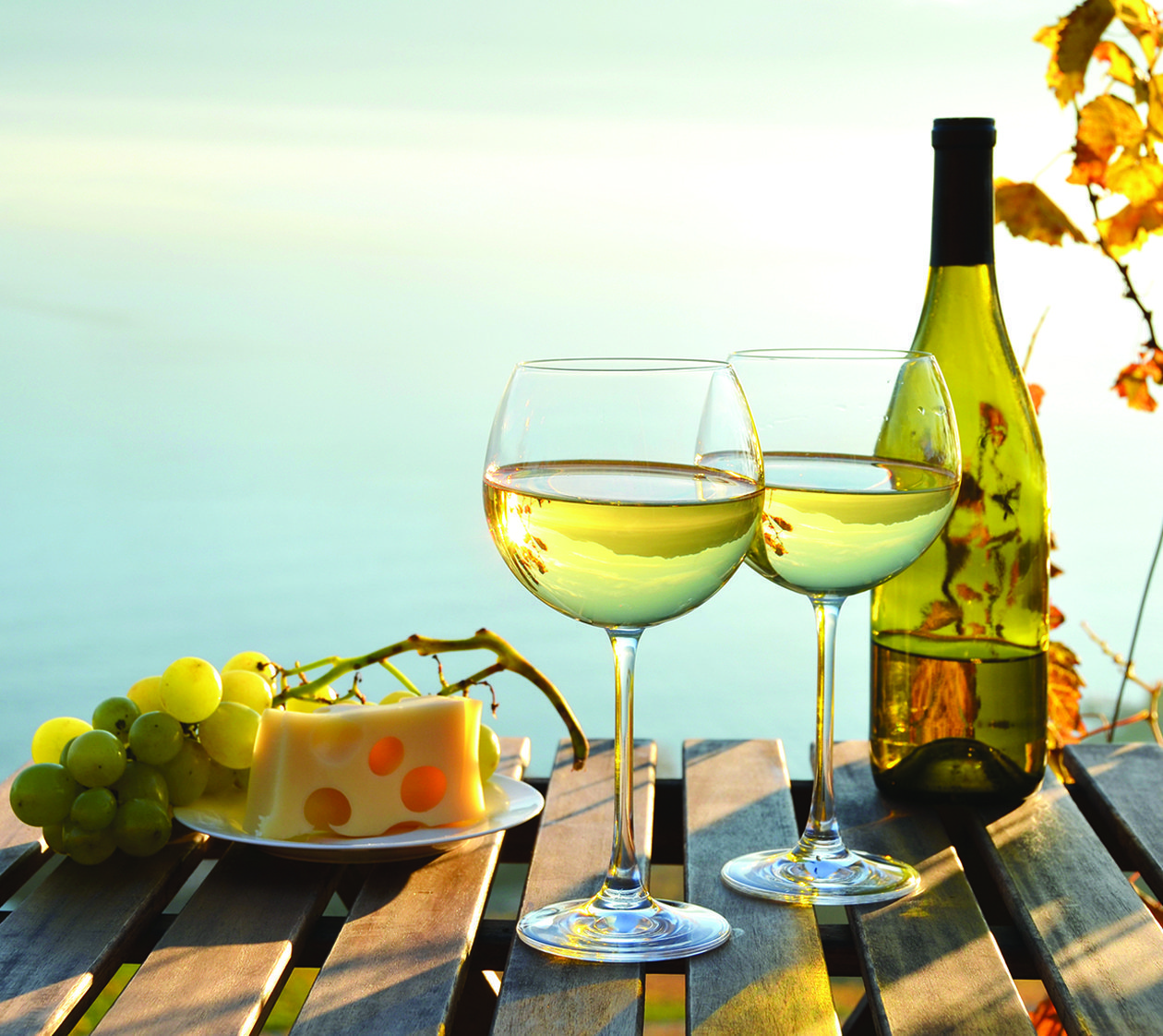 Vinhos undefined